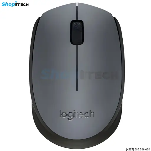 [Souris USB Logitech M170] Souris M10